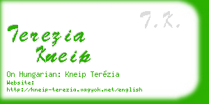 terezia kneip business card